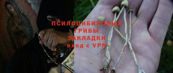 прущая мука Алзамай