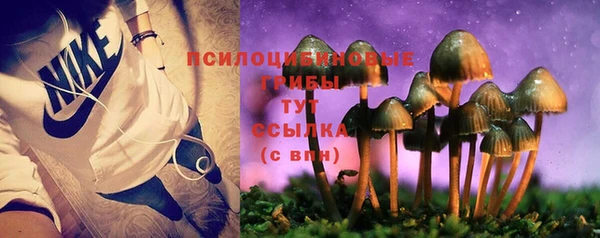 прущая мука Алзамай